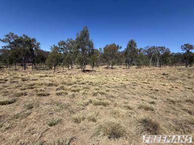 Residential Block For Sale - QLD - Nanango - 4615 - Build Your Forever Home Here - 5 Acres On Luna Rise  (Image 2)