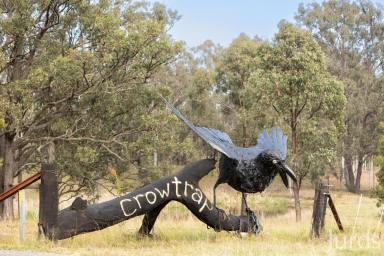 Lifestyle For Sale - NSW - Pokolbin - 2320 - Crowtrap – Hunter Valley Wine Country (Image 2)