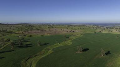 Mixed Farming For Sale - NSW - Merriwa - 2329 - MERRIWA'S PREMIER CATTLE & DRYLAND CROPPING ASSET  (Image 2)