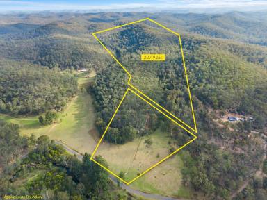 House For Sale - NSW - Putty - 2330 - Sprawling 238-Acre Country Haven | Endless Potential & Complete Serenity  (Image 2)