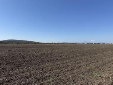 Cropping For Sale - NSW - Gurley - 2398 - Gurley District Cultivation Lease  (Image 2)