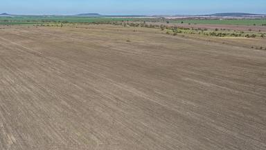 Cropping For Sale - NSW - Gurley - 2398 - Gurley District Cultivation Lease  (Image 2)