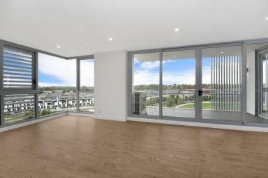 Apartment For Sale - NSW - Penrith - 2750 - Modern Apartment - Close to everything - Thornton Oval and mountain views  (Image 2)