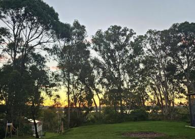 Residential Block For Sale - QLD - Macleay Island - 4184 - Water access - blank canvas  (Image 2)