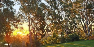 Residential Block For Sale - QLD - Macleay Island - 4184 - Water access - blank canvas  (Image 2)