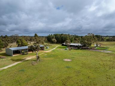 Mixed Farming For Sale - SA - Western Flat - 5268 - Yaccavale  (Image 2)