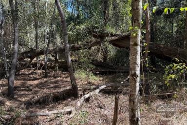 Residential Block For Sale - QLD - Glenwood - 4570 - MAKE GLENWOOD YOUR HOME  (Image 2)