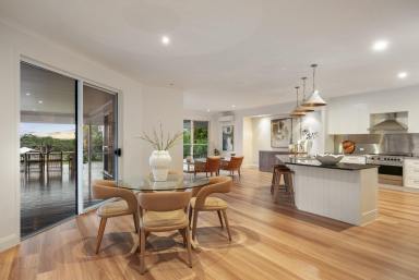 House For Sale - QLD - Tinbeerwah - 4563 - Expansive Family Sanctuary with Mt Coolum Views  (Image 2)