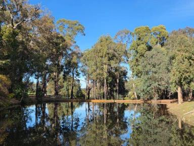 Lifestyle For Sale - WA - Dwellingup - 6213 - Tree change and serenity in Dwellingup (Image 2)