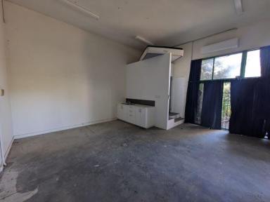 Showrooms/Bulky Goods For Lease - NSW - West Gosford - 2250 - Your New Studio Space!!  (Image 2)
