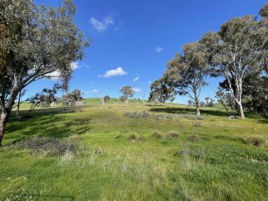 House For Sale - NSW - Gundagai - 2722 - 'Ivanhoe' (Image 2)