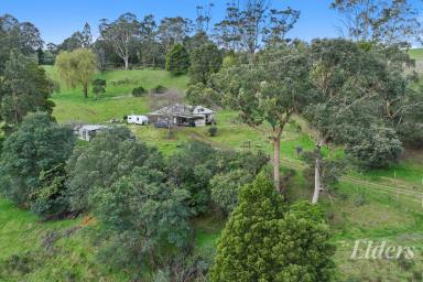 Acreage/Semi-rural For Sale - VIC - Narracan - 3824 - Peace, Privacy & Potential on 5.67 Acres (Image 2)