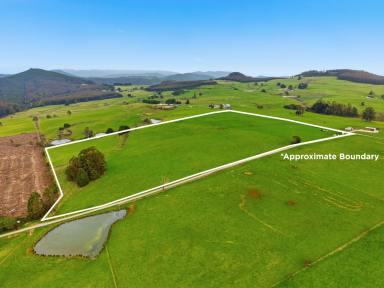 Residential Block For Sale - TAS - Preston - 7315 - 42 Acres of Productive Rural Potential  (Image 2)