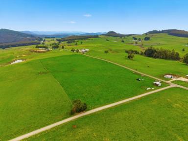 Residential Block For Sale - TAS - Preston - 7315 - 42 Acres of Productive Rural Potential  (Image 2)