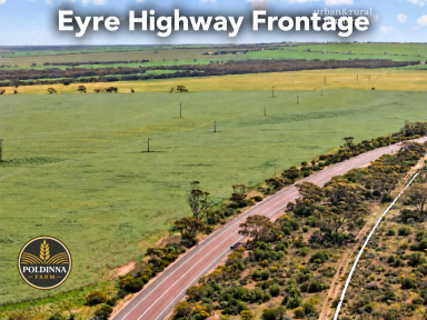 Cropping For Sale - SA - Minnipa - 5654 - A Significant Eyre Peninsula Farming Opportunity  (Image 2)