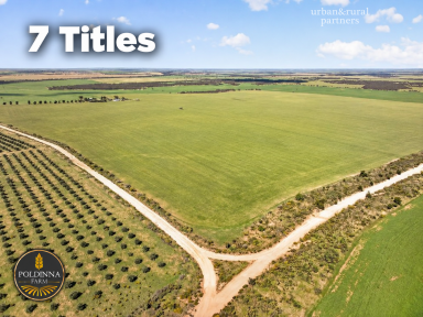 Cropping For Sale - SA - Minnipa - 5654 - A Significant Eyre Peninsula Farming Opportunity  (Image 2)