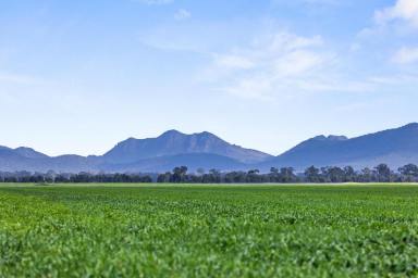Mixed Farming Auction - VIC - Willaura - 3379 - 'Serra' - 903 Ha / 2233 Ac (Image 2)