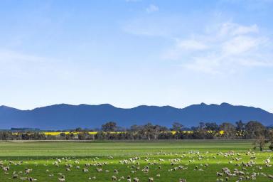 Mixed Farming Auction - VIC - Willaura - 3379 - 'Serra' - 903 Ha / 2233 Ac (Image 2)