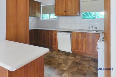 House For Lease - NSW - Dubbo - 2830 - Close to Schools, Parks & Orana Mall Marketplace  (Image 2)