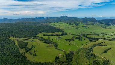 Mixed Farming For Sale - NSW - Brooklana - 2450 - Substantial Family Living, Production, Privacy & Country Charm - Coffs Coast NSW (Image 2)