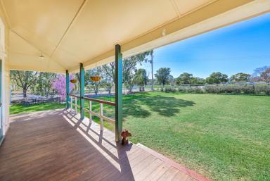 Lifestyle Auction - NSW - Tamworth - 2340 - CLASSIC COUNTRY HOME ON THE EDGE OF TOWN (Image 2)
