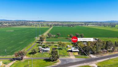 Lifestyle Auction - NSW - Tamworth - 2340 - CLASSIC COUNTRY HOME ON THE EDGE OF TOWN  (Image 2)