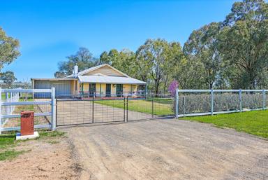 Lifestyle Auction - NSW - Tamworth - 2340 - CLASSIC COUNTRY HOME ON THE EDGE OF TOWN  (Image 2)
