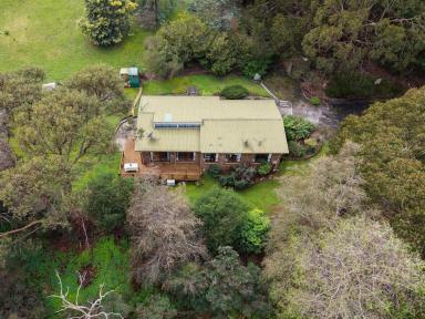 House For Sale - TAS - Acacia Hills - 7306 - Escape to the Peace & Privacy of Elouera (Image 2)