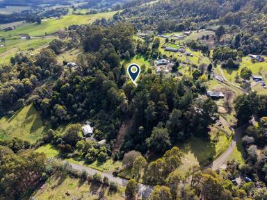 House For Sale - TAS - Acacia Hills - 7306 - Escape to the Peace & Privacy of Elouera (Image 2)