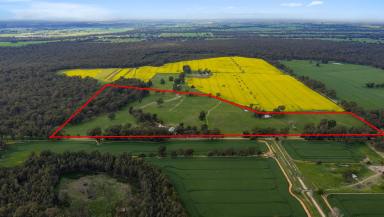 Cropping For Sale - VIC - Toolamba - 3614 - Private 71-Acre Property with Natural Bushland & Stunning Outlook (Image 2)
