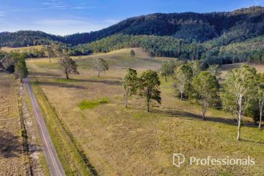 Residential Block For Sale - QLD - Widgee - 4570 - A Rare Rural Opportunity  (Image 2)