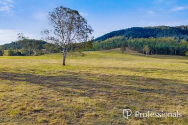 Residential Block For Sale - QLD - Widgee - 4570 - A Rare Rural Opportunity  (Image 2)
