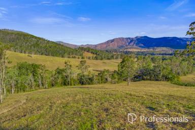 Residential Block For Sale - QLD - Widgee - 4570 - A Rare Rural Opportunity  (Image 2)
