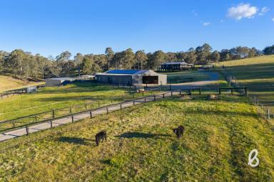 Other (Rural) For Sale - NSW - Lambs Valley - 2335 - 28 acres | Abundant Rural Living minutes from Maitland  (Image 2)