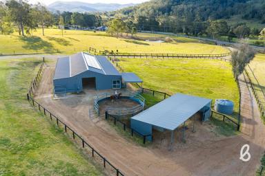 Other (Rural) For Sale - NSW - Lambs Valley - 2335 - Equestrian Excellence Meets Abundant Country Living  (Image 2)