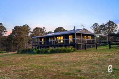 Other (Rural) For Sale - NSW - Lambs Valley - 2335 - 28 acres | Abundant Rural Living minutes from Maitland  (Image 2)