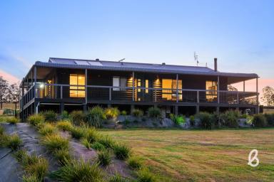 Other (Rural) For Sale - NSW - Lambs Valley - 2335 - Equestrian Excellence Meets Abundant Country Living  (Image 2)