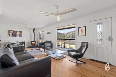 Other (Rural) For Sale - NSW - Lambs Valley - 2335 - Equestrian Excellence Meets Abundant Country Living  (Image 2)
