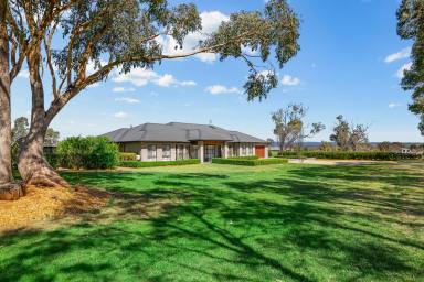 Lifestyle Auction - NSW - Tamworth - 2340 - PREMIUM FAMILY LIVING ON ACREAGE, MINUTES FROM TAMWORTH  (Image 2)