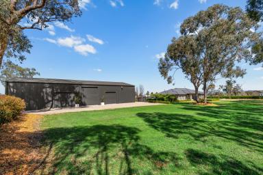 Lifestyle Auction - NSW - Tamworth - 2340 - PREMIUM FAMILY LIVING ON ACREAGE, MINUTES FROM TAMWORTH  (Image 2)