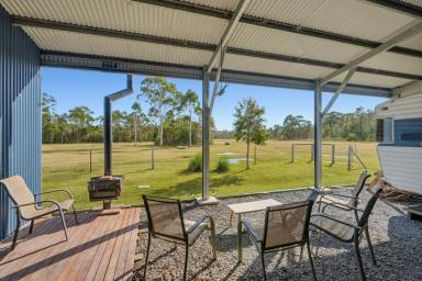 Residential Block For Sale - NSW - Crescent Head - 2440 - Runaway – 98 Acres to Escape Now and Dream Bigger  (Image 2)