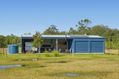 Residential Block For Sale - NSW - Crescent Head - 2440 - Runaway – 98 Acres to Escape Now and Dream Bigger  (Image 2)