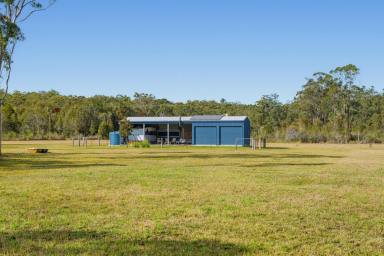 Residential Block For Sale - NSW - Crescent Head - 2440 - Runaway – 98 Acres to Escape Now and Dream Bigger (Image 2)