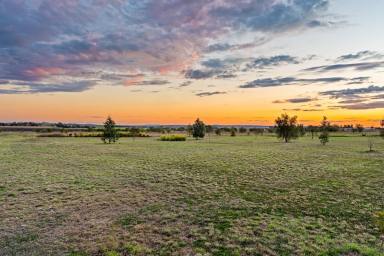 Lifestyle For Sale - QLD - Clifton - 4361 - Sustainable Country Living With A Difference  (Image 2)