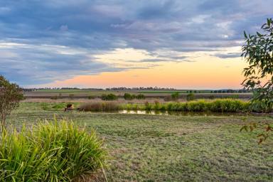 Lifestyle For Sale - QLD - Clifton - 4361 - Sustainable Country Living With A Difference  (Image 2)