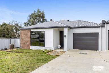 Duplex/Semi-detached For Sale - VIC - Ararat - 3377 - Modern Quality Meets Effortless, Low-Maintenance Living  (Image 2)