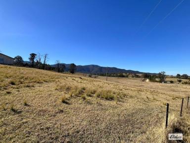 Acreage/Semi-rural For Sale - NSW - Bemboka - 2550 - 4.7HA, BIG POTENTIAL & A SPECTACULAR BEMBOKA SETTING (Image 2)