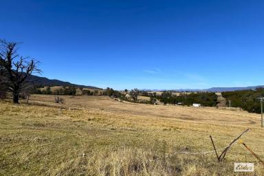 Acreage/Semi-rural For Sale - NSW - Bemboka - 2550 - 4.7HA, BIG POTENTIAL & A SPECTACULAR BEMBOKA SETTING (Image 2)