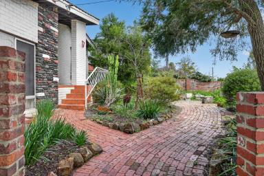 House For Sale - WA - Willetton - 6155 - Options Galore in the Sought-After RSHSZ  (Image 2)