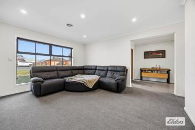 House For Sale - VIC - Stawell - 3380 - Stylish, As New Family Home with Exceptional Shedding  (Image 2)